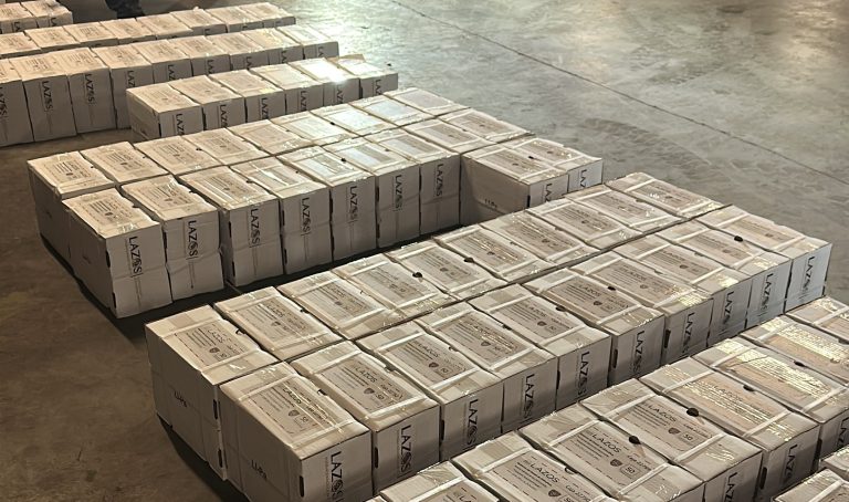 recibe20recaudacic3b3n20de20rentas20lote20de20placas20metc3a1licas