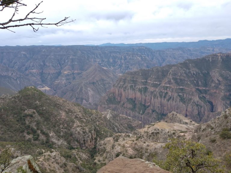 whatsapp20image202024-04-2020at2010-39-5320am2028229