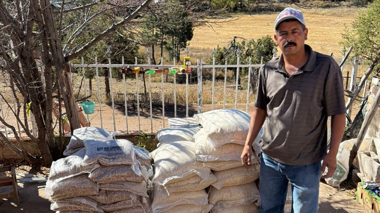 whatsapp20image202025-11-3020at2019-12-18