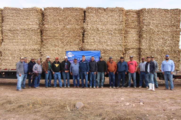 21ad66e2-71ba-474e-859b-daa8f4c71409