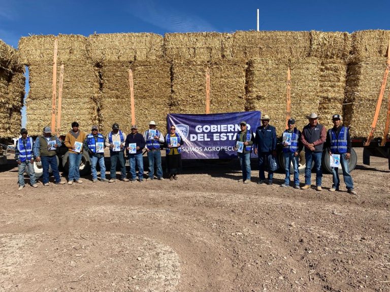 whatsapp20image202026-01-2220at203-43-1120pm2028129